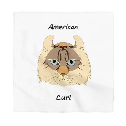 アメリカンカール Bandana