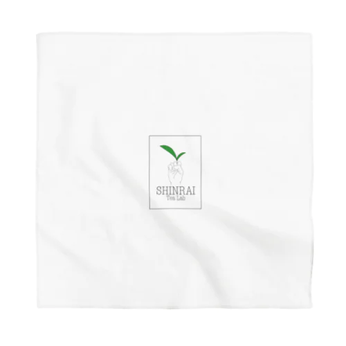 SHINRAI TEALAB Bandana