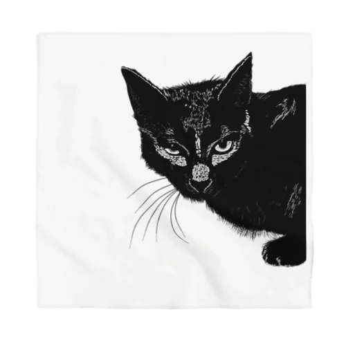 カッコよく覗きに来た黒猫 Bandana