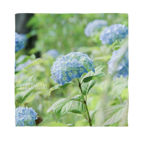 hydrangeas バンダナ