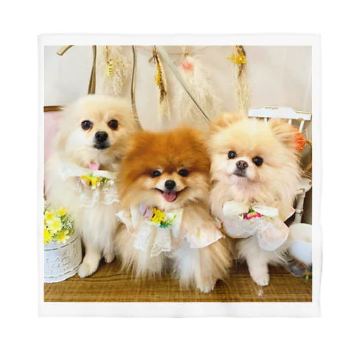 Pomeranianlovers　ポメラニアン Bandana