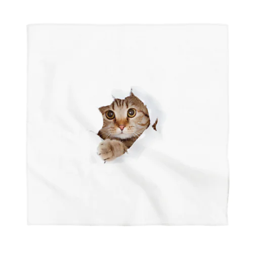 White Free Cute Funny Cat T-shirt Bandana