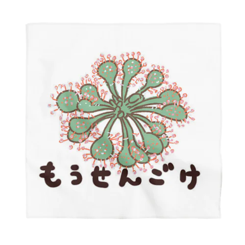 食虫植物　モウセンゴケ Bandana