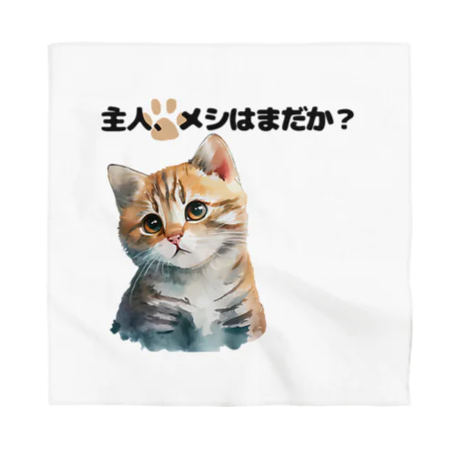 催促する子猫 Bandana