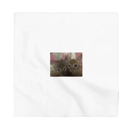 ふんわり猫 Bandana