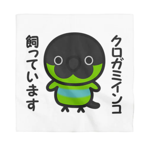 クロガミインコ飼っています Bandana