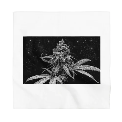 420 Bandana