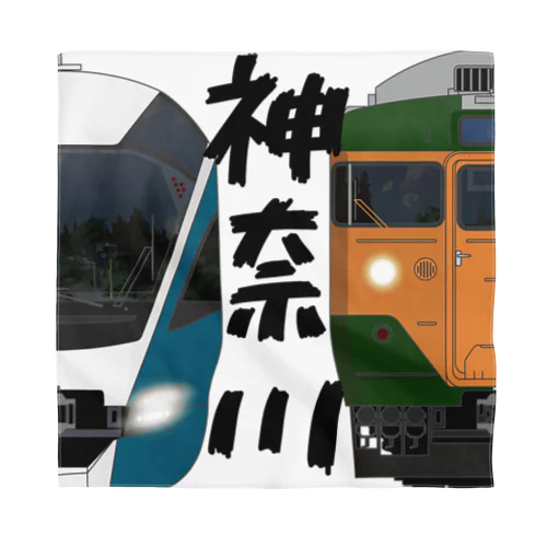 神奈川の列車No.17_E261系 / 113系2000番台 Bandana