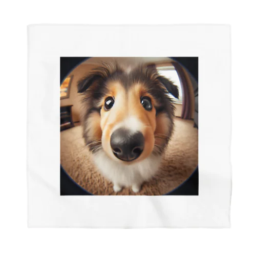 collie Bandana