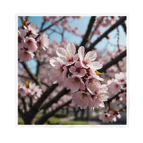 満開の桜 Bandana