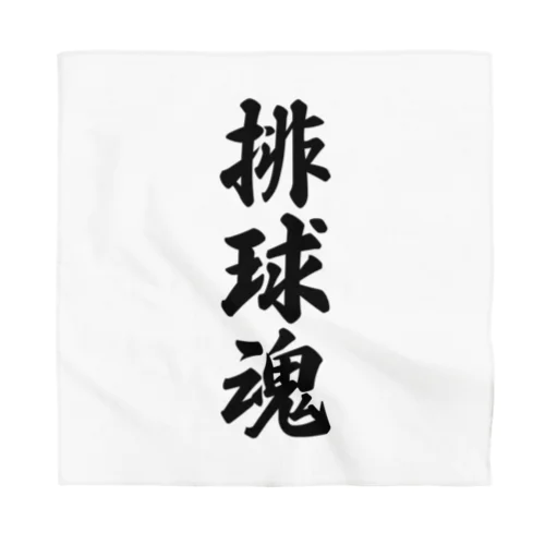 排球魂 Bandana