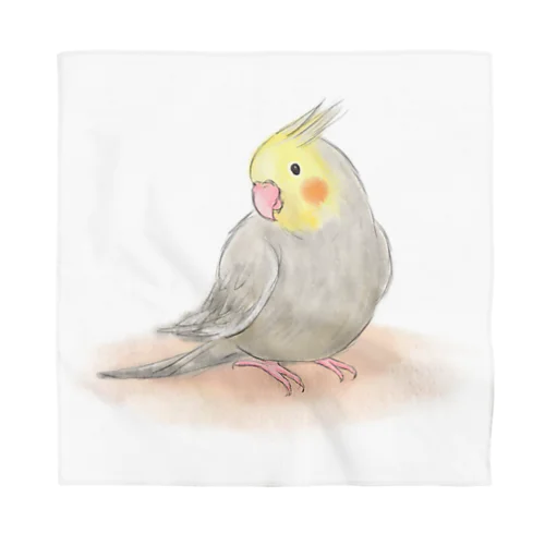 オカメインコ　シナモン【まめるりはことり】 Bandana