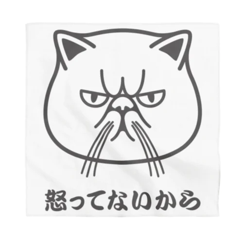 エキゾチックショートヘア「怒ってないから」 バンダナ