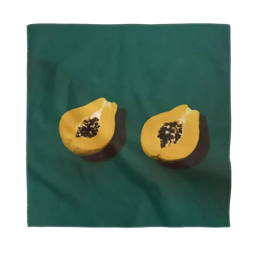 papaya 스카프