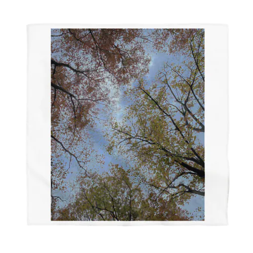 紅葉 Bandana