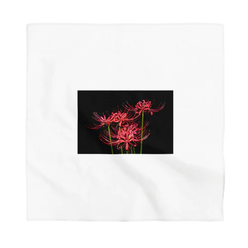 紅花 Bandana