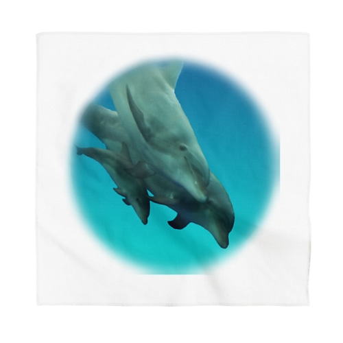 バンドウイルカ 2 Bandana