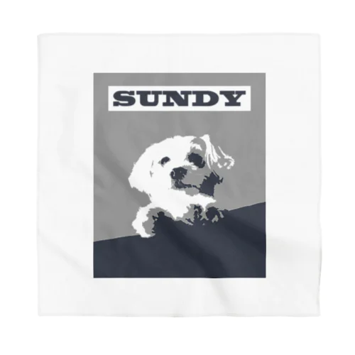 SUNDY Bandana