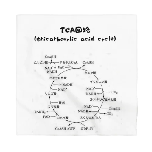 TCA回路 バンダナ