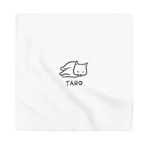 TARO Bandana