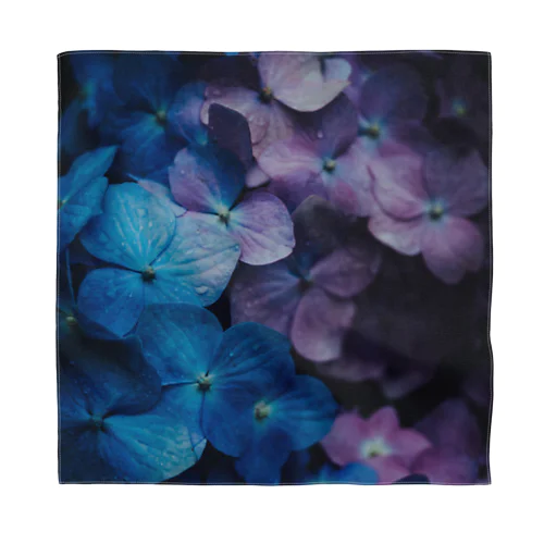 hydrangea Bandana