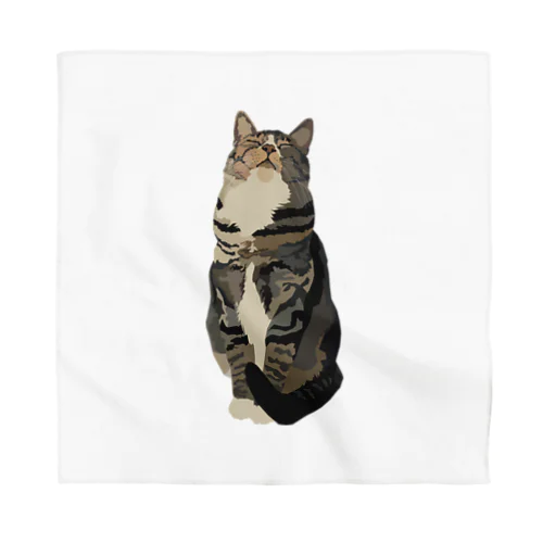 Tabby Cat Bandana