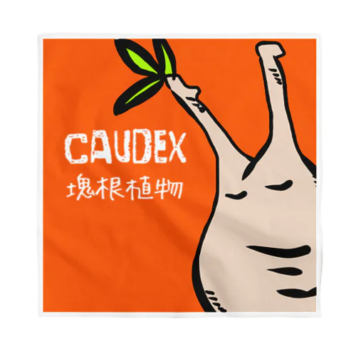 caudex  バンダナ