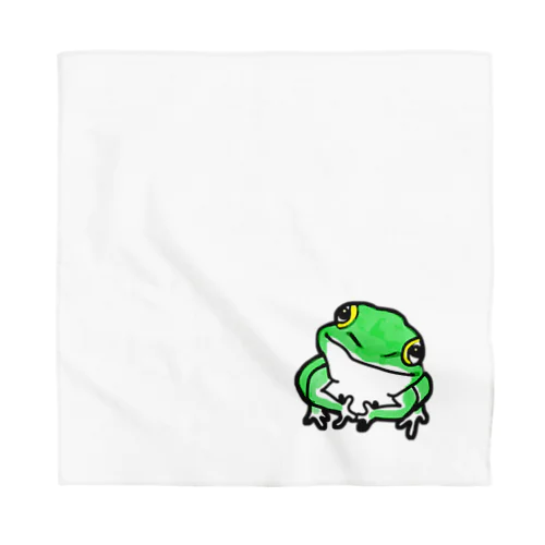 カシゲルカエル Bandana