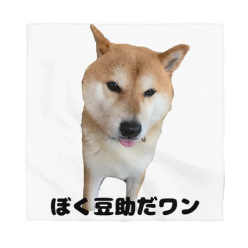 柴犬の豆助くん バンダナ