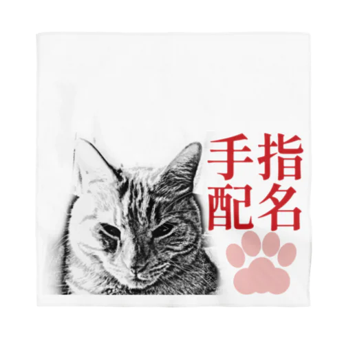 指名手配 | JOYFUL x JOYFUL DESIGNS 0aC Bandana