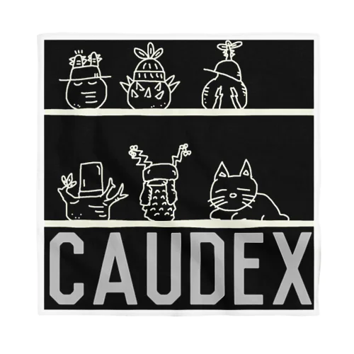 caudex  バンダナ