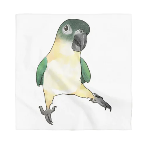 ご機嫌なズグロシロハラインコのカイ君【まめるりはことり】 Bandana