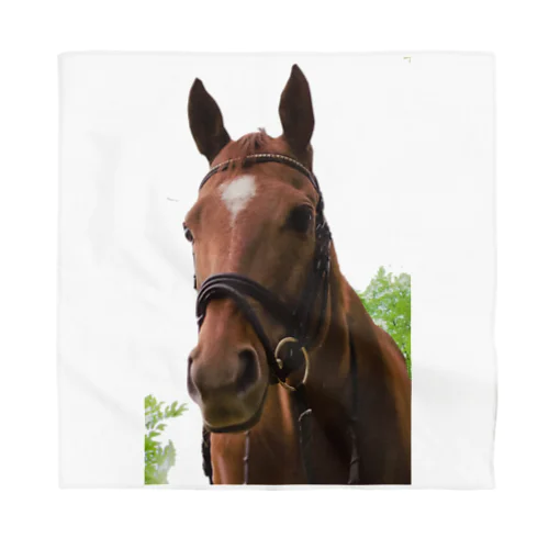 牧場 乗馬 馬術の馬 Bandana