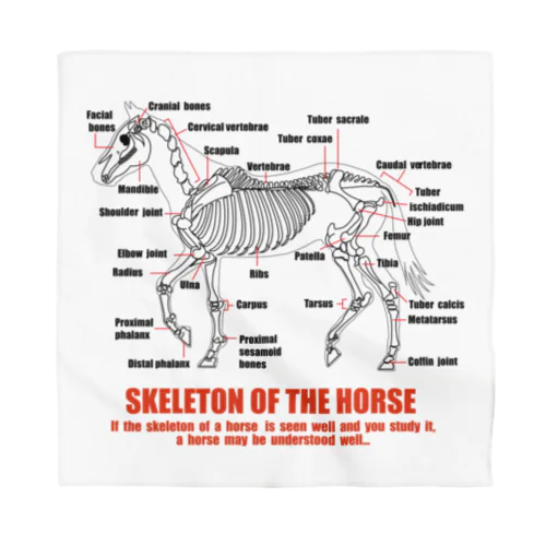 馬の骨スケルトンホース・SKELETON HORSE バンダナ