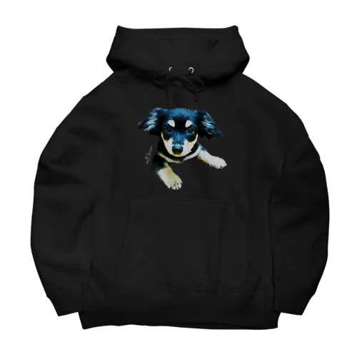 my name is molt Big Hoodie