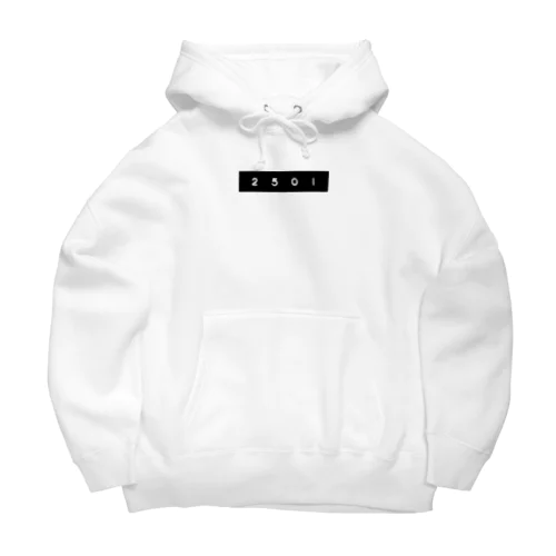 project 2501 Big Hoodie