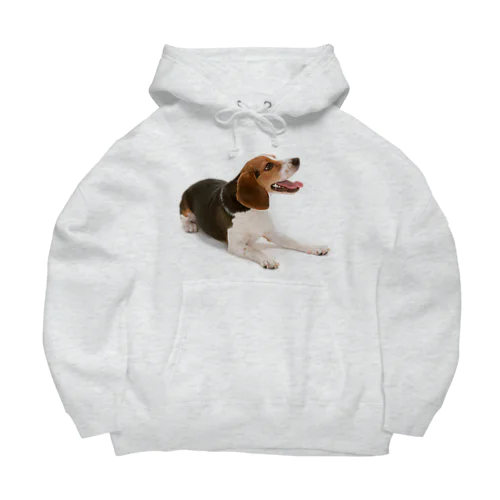 ビーグル犬 Big Hoodie