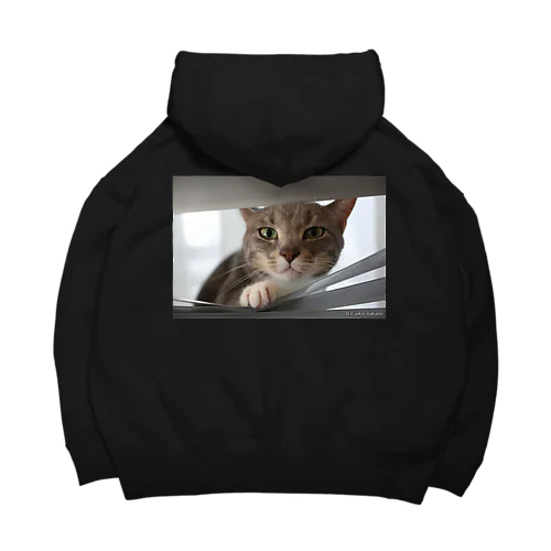 ブラインドから覗く猫 Big Hoodie