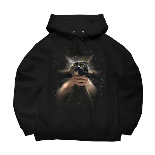 理解からされた猫 Big Hoodie