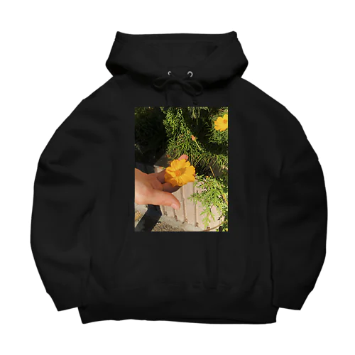 sanpo Big Hoodie