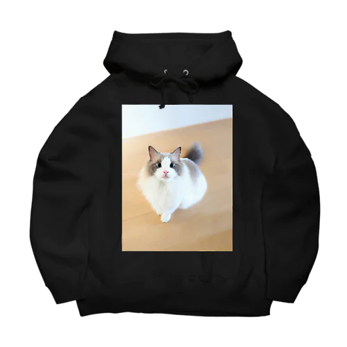 おすわりねこ Big Hoodie