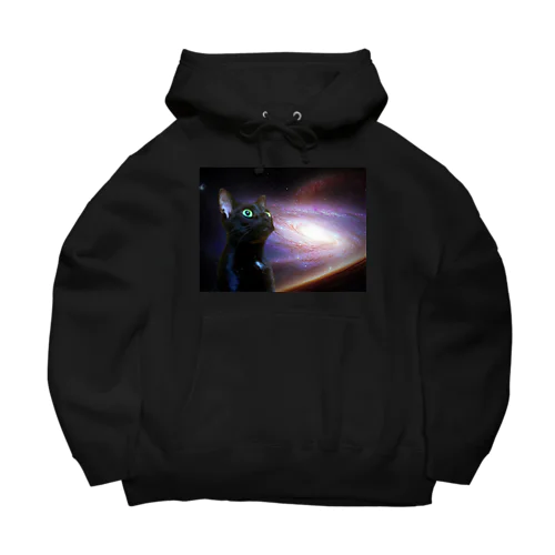 space cat Big Hoodie