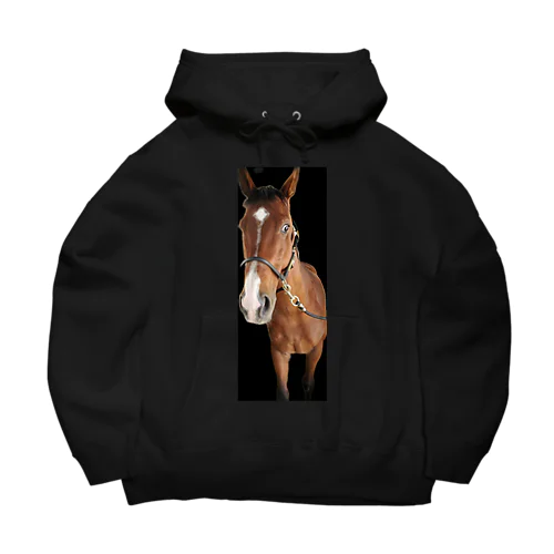 ２０２３ショウナンマッシブ Big Hoodie