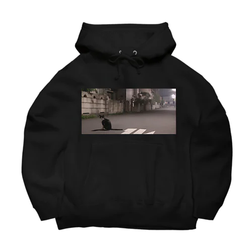 夜の散歩でみた猫　A cat I saw on a night walk Big Hoodie