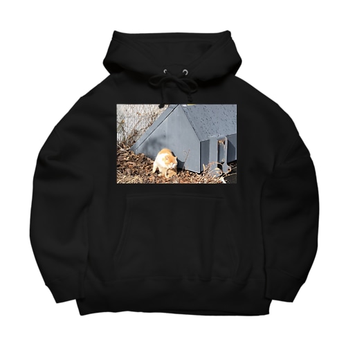 憎みねこ（やさしい） Big Hoodie