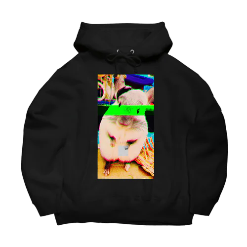 psychedelic OMARU Big Hoodie