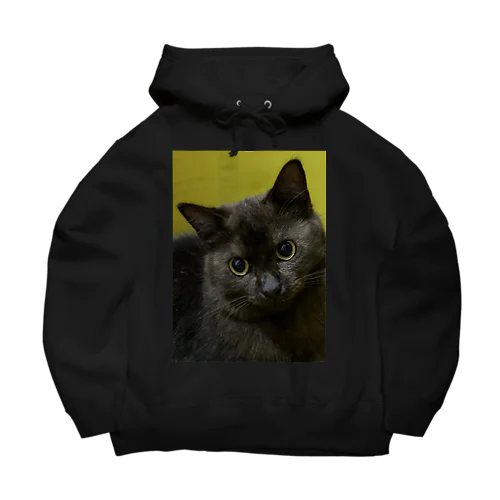 Cathouse 3tee Big Hoodie