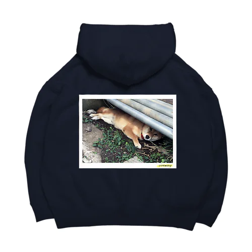 熱中症対策犬 Big Hoodie