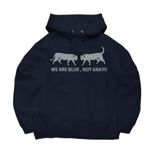 WE ARE BLUE, NOT GRAY!! Big Hoodie