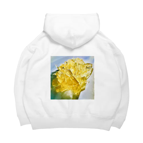 Reflection  Big Hoodie